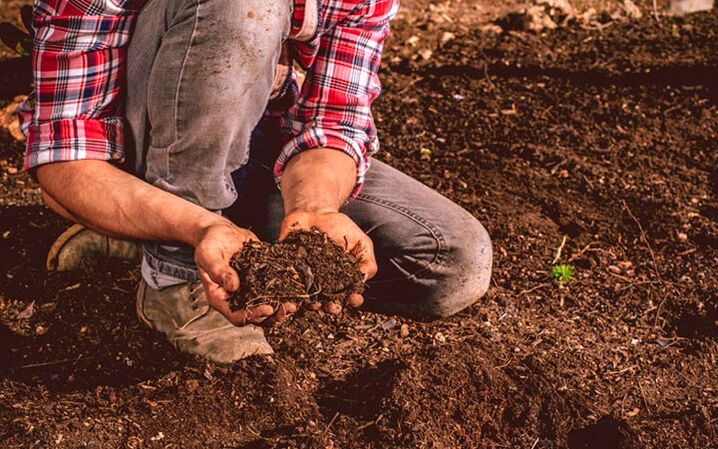 Parasite infection through the ground