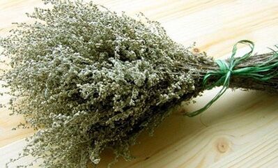 Wormwood as a means of combating pests