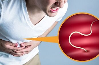 species of parasites in the human body