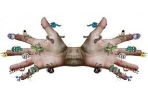 germs parasites on human hands