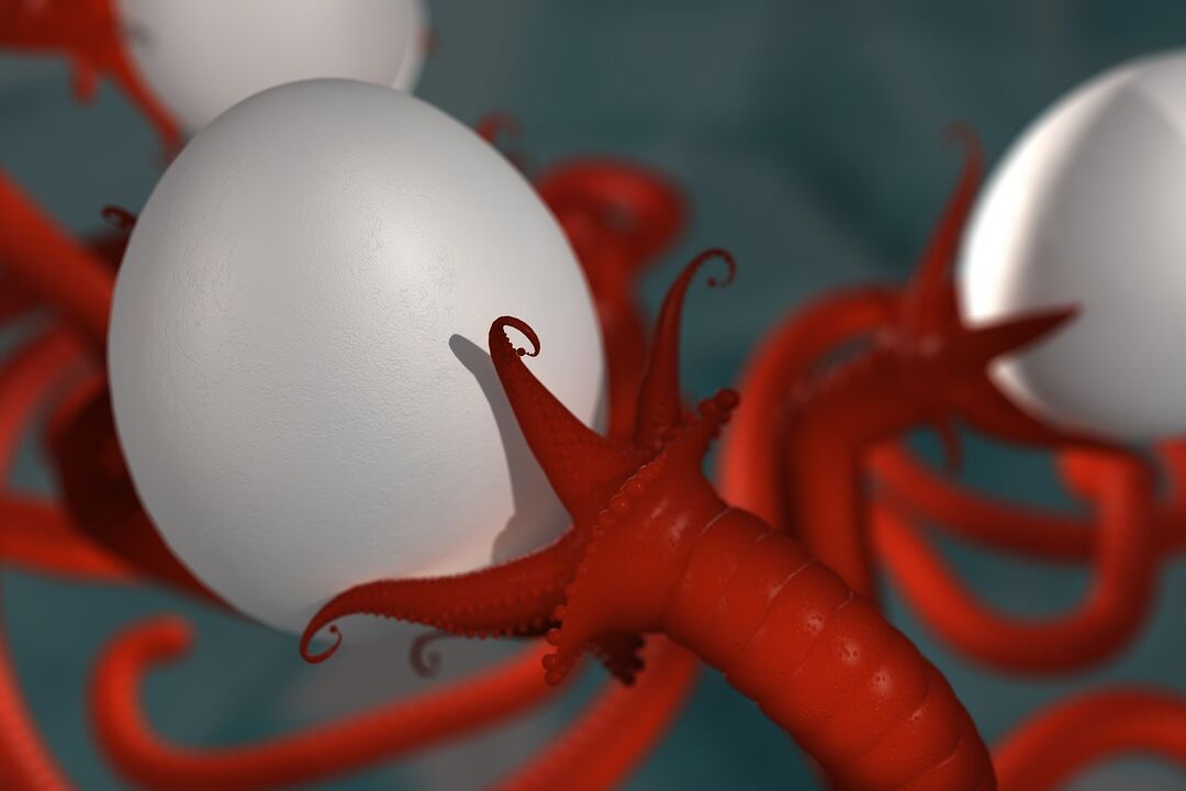 worm parasite of man